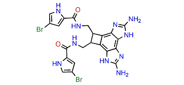Benzosceptrin B